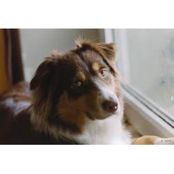 Odbitki + Wywołanie i Skanowanie