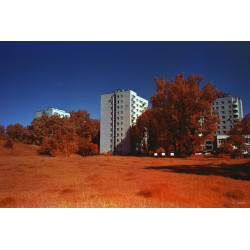 Odbitki + Wywołanie i Skanowanie